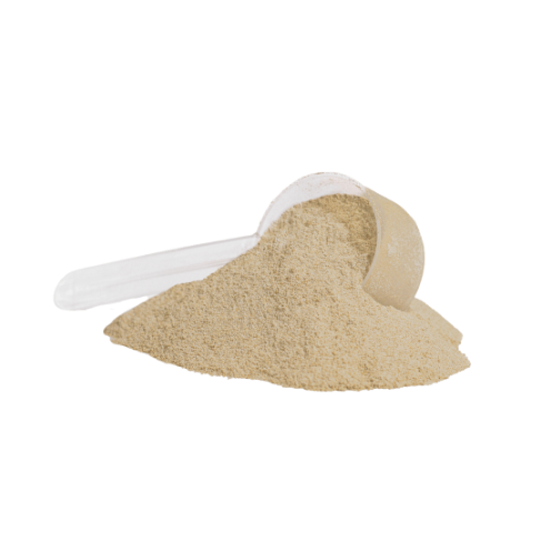 FOUNDATION (Vanilla)
